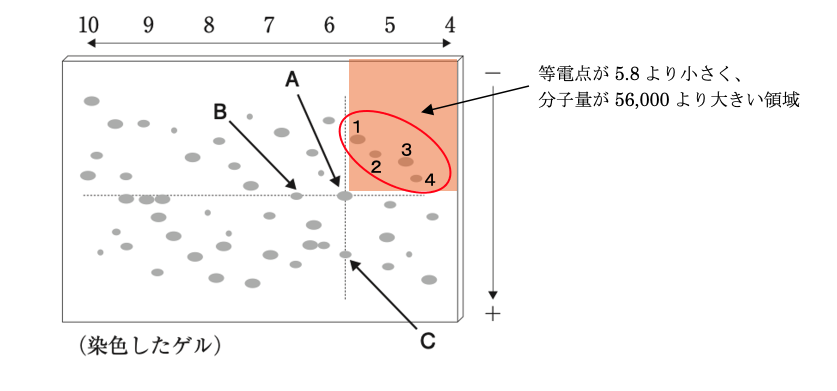 解説画像
